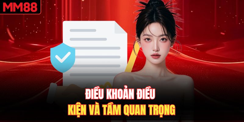 Điều khoản điều kiện và tầm quan trọng